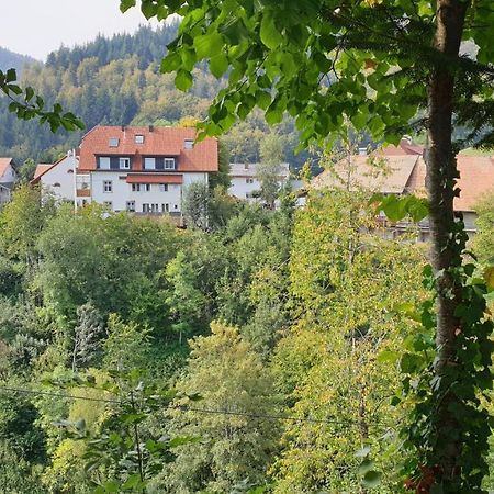 Ferienwohnung Auf Dem Bueckle Kleines Wiesental Bagian luar foto