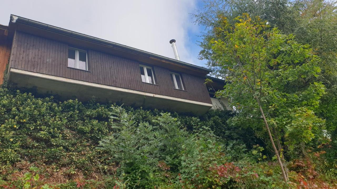 Ferienwohnung Auf Dem Bueckle Kleines Wiesental Bagian luar foto