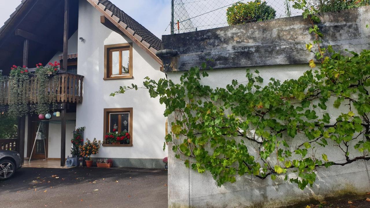 Ferienwohnung Auf Dem Bueckle Kleines Wiesental Bagian luar foto