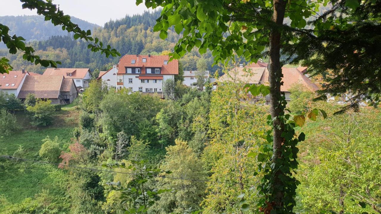 Ferienwohnung Auf Dem Bueckle Kleines Wiesental Bagian luar foto