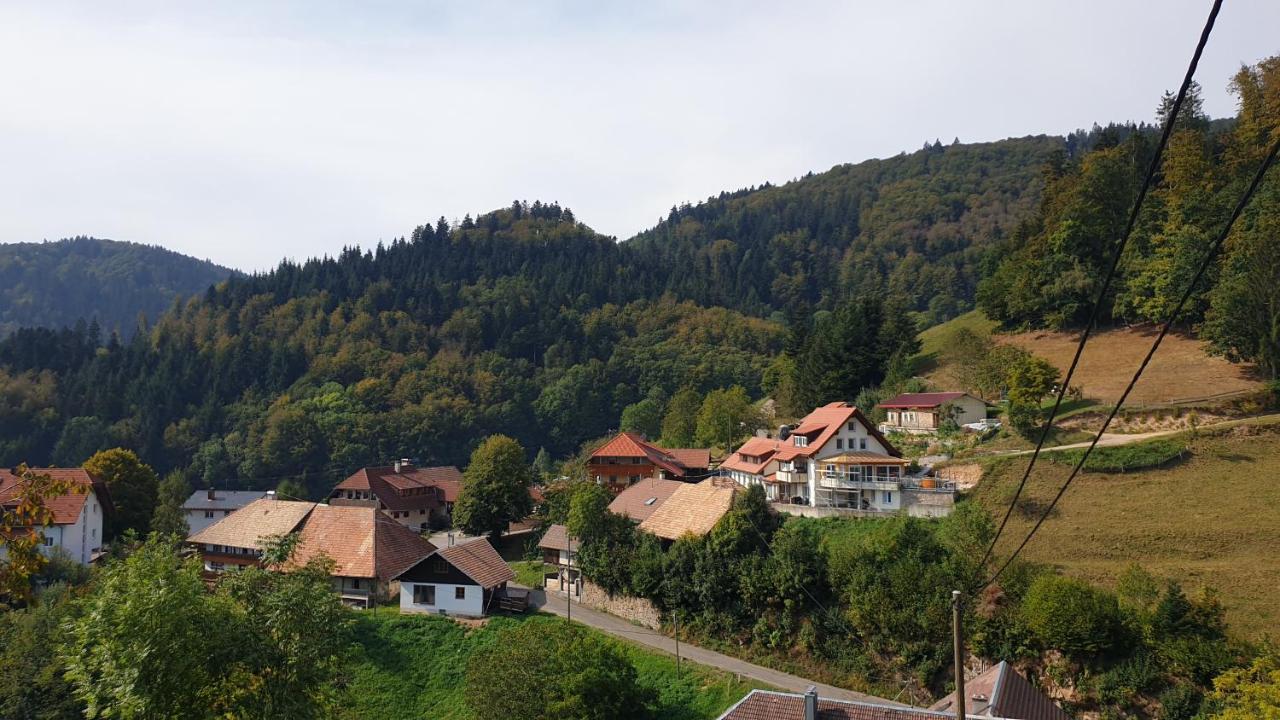 Ferienwohnung Auf Dem Bueckle Kleines Wiesental Bagian luar foto