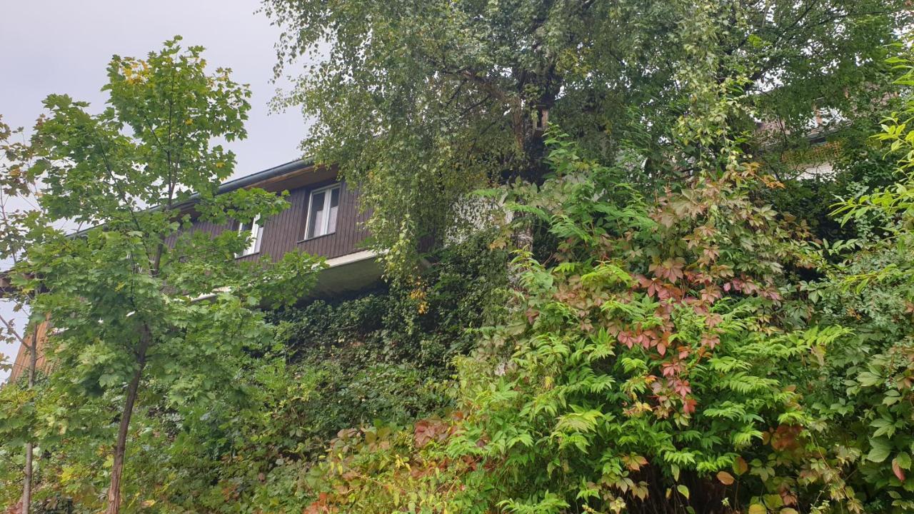 Ferienwohnung Auf Dem Bueckle Kleines Wiesental Bagian luar foto