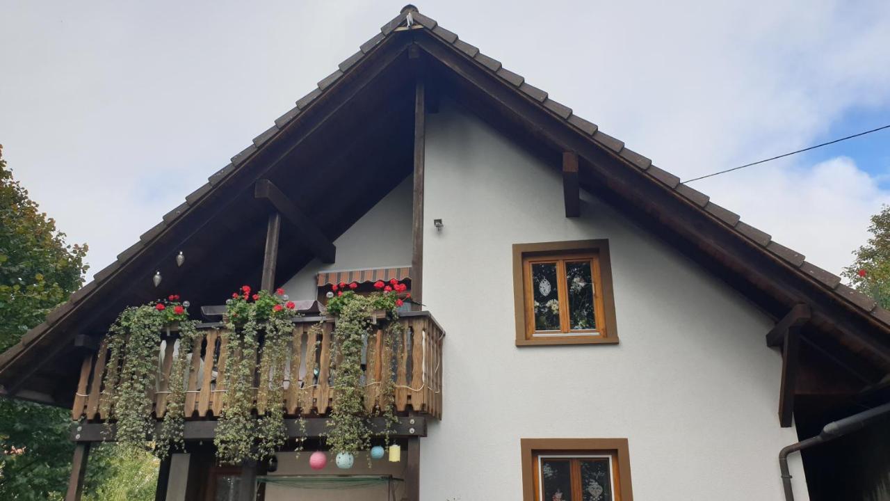 Ferienwohnung Auf Dem Bueckle Kleines Wiesental Bagian luar foto