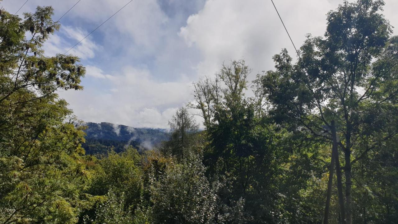 Ferienwohnung Auf Dem Bueckle Kleines Wiesental Bagian luar foto