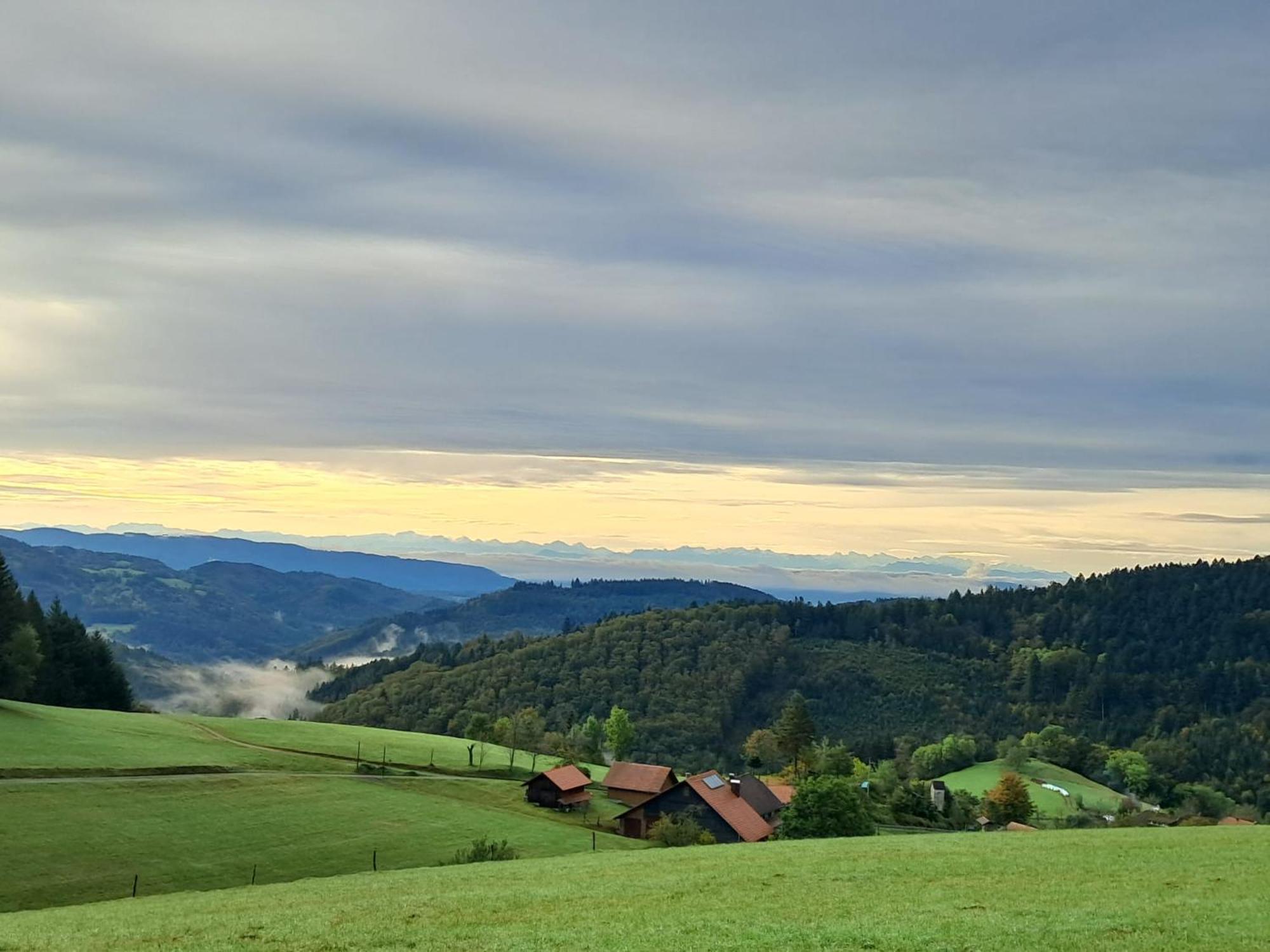 Ferienwohnung Auf Dem Bueckle Kleines Wiesental Bagian luar foto